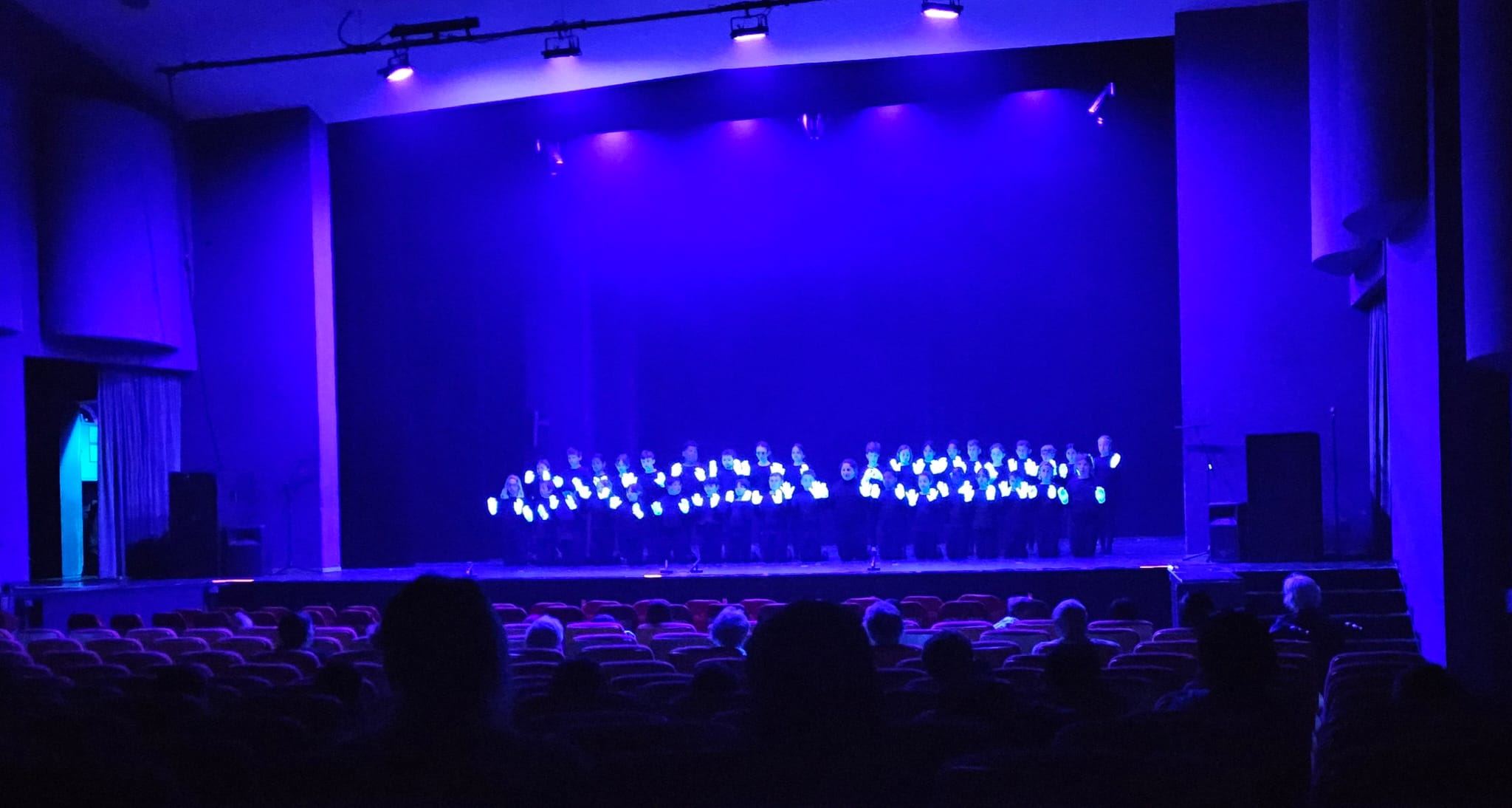 "Les Couleurs de Vincent", un spectacle revisité joué par les élèves de l'école primaire de Saint-Maurice - Lavey